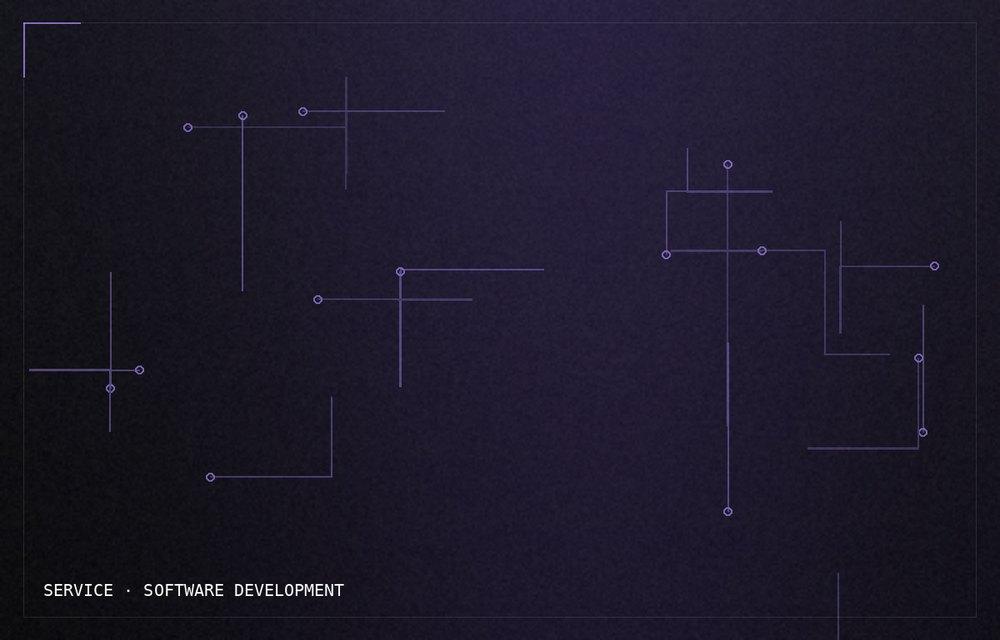Software Development Company in Nepal